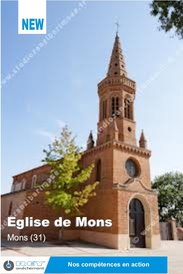 Mons, murtronic, Rey assèchement, toulouse, montauban, albi, castres, midi pyrénées, assèchement des murs, traitement humidité, remontées capillaires, assèchement murs humides, mur humide